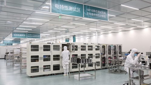 張家口的風，點亮北京的燈——海歸青年在綠色能源浪潮中顯身手